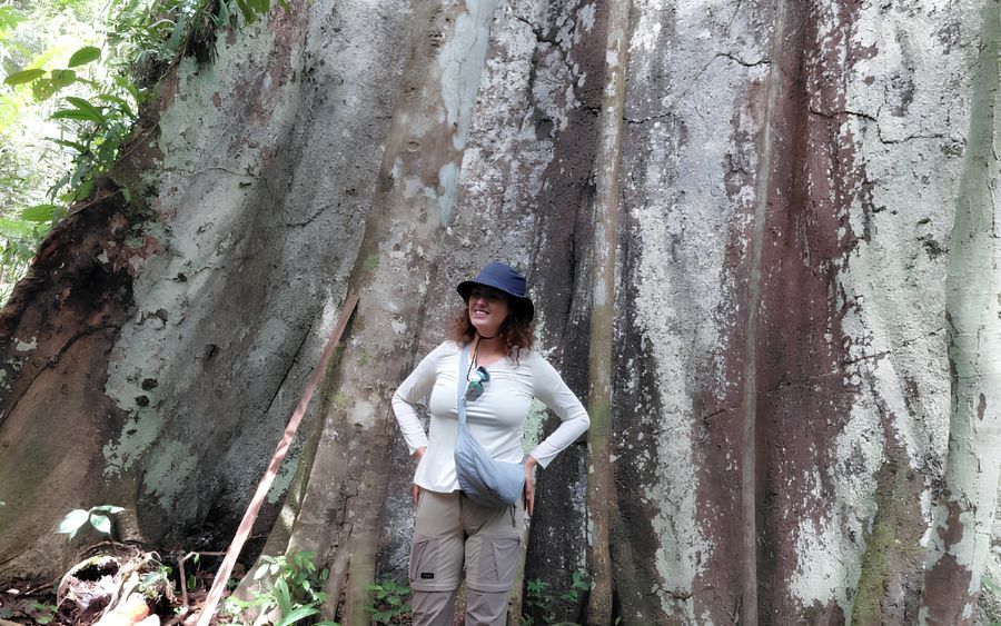 Visitante junto a un arbol gigante de la Amazonia