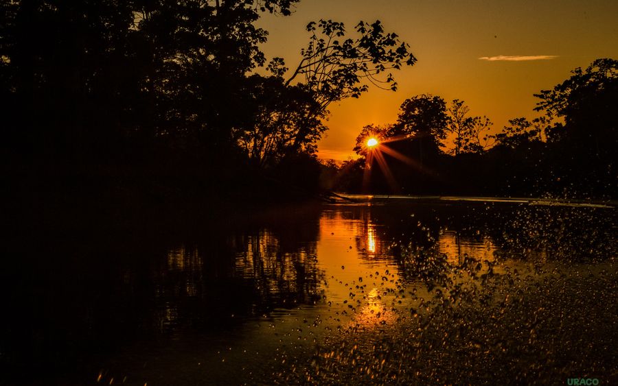 Atardecer sobre el río en la Reserva Pacaya Samiria