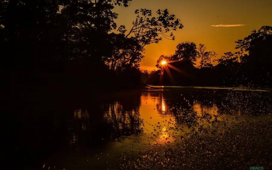 Sunset through the trees reflected in the river