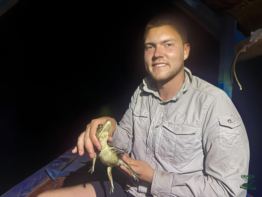 Guía de Uraco Tours mostrando fauna nocturna
