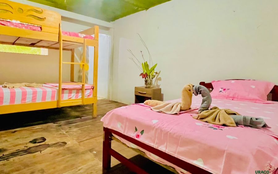 Habitacion del albergue amazonico