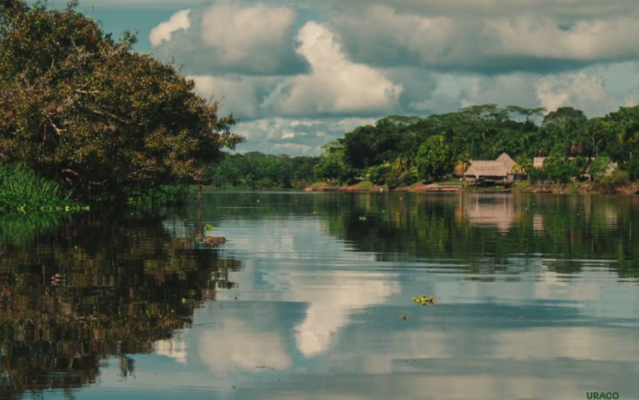 Yarina Lodge a orillas del río en la Amazonía