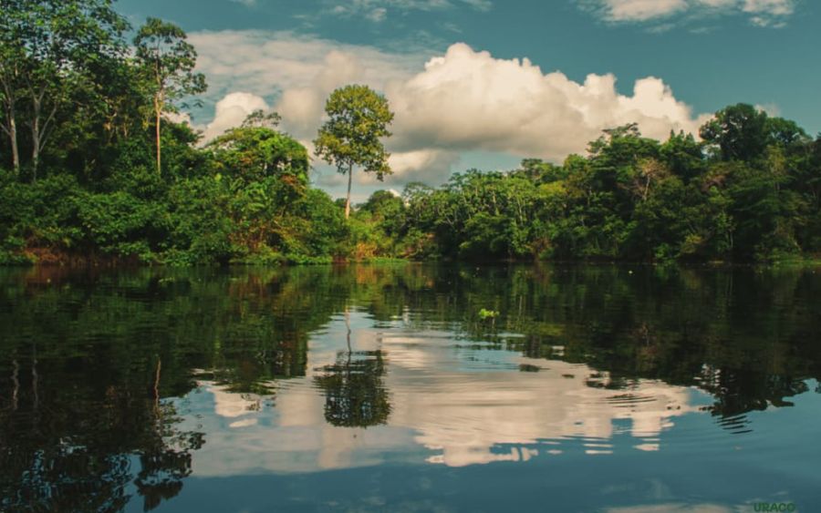 Río amazónico reflejando el cielo con nubes