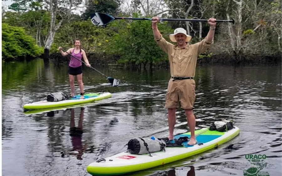 Two travellers stand up paddling on a forest creek
