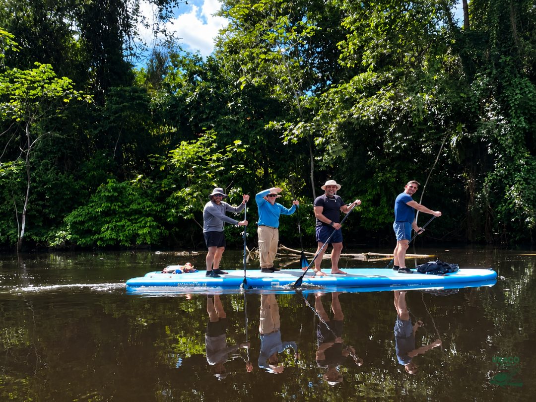 Grupo practicando stand up paddle en el río