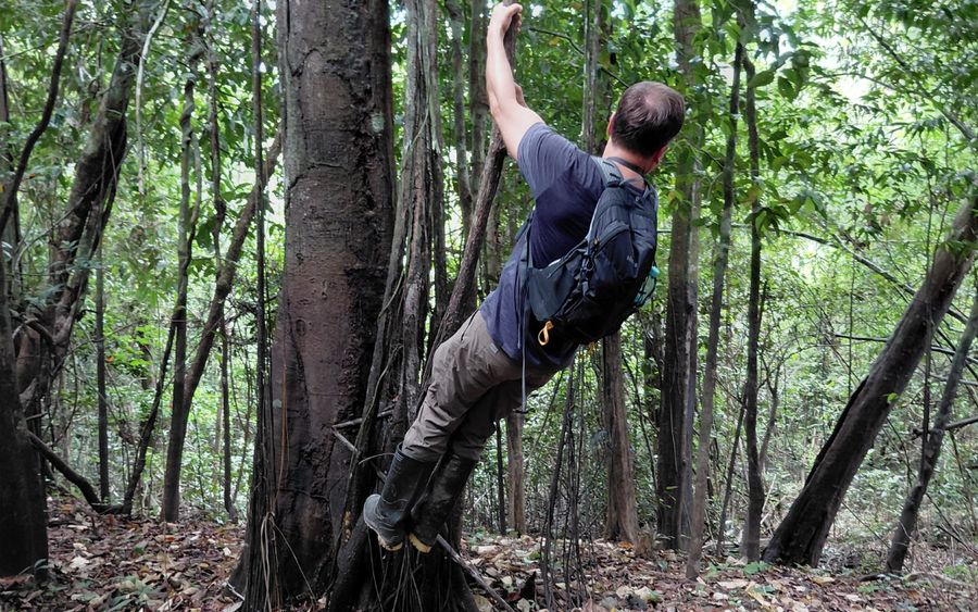 Actividad de ascenso a un arbol del bosque